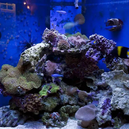 Hawksmoor Pensión Windermere