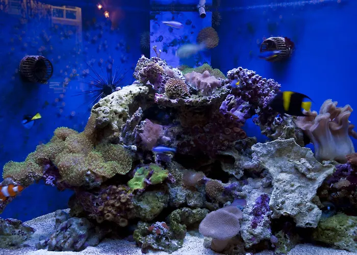 Hawksmoor Guest house Windermere