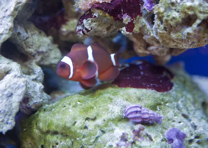 Guest house Hawksmoor 5*