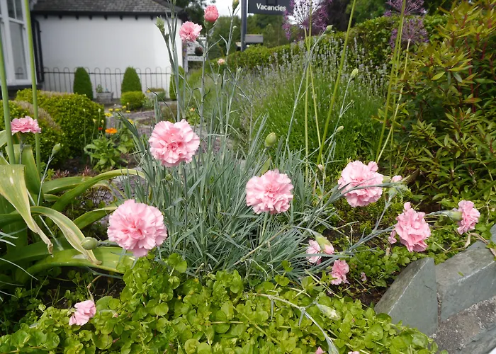 Hawksmoor Guest house 5*